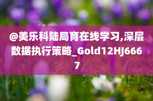 @美乐科陆局育在线学习,深层数据执行策略_Gold12HJ6667