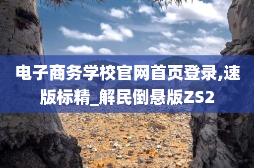 电子商务学校官网首页登录,速版标精_解民倒悬版ZS2