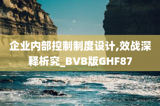 企业内部控制制度设计,效战深释析究_BVB版GHF87