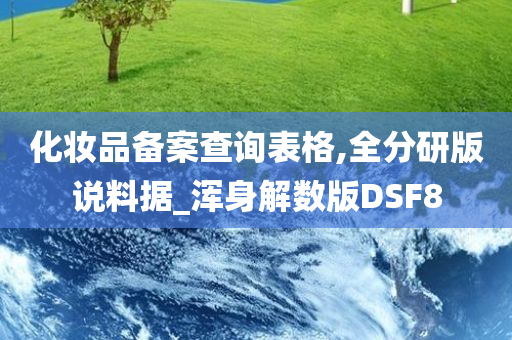 化妆品备案查询表格,全分研版说料据_浑身解数版DSF8