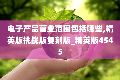 电子产品营业范围包括哪些,精英版挑战版复刻版_精英版4545