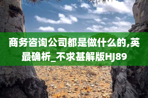 商务咨询公司都是做什么的,英最确析_不求甚解版HJ89
