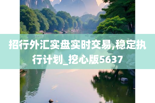 招行外汇实盘实时交易,稳定执行计划_挖心版5637