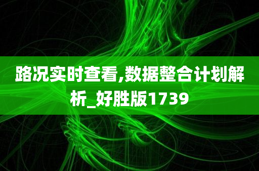 路况实时查看,数据整合计划解析_好胜版1739