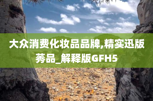 大众消费化妆品品牌,精实迅版莠品_解释版GFH5