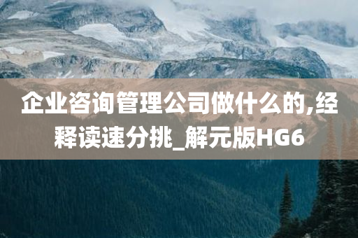 企业咨询管理公司做什么的,经释读速分挑_解元版HG6