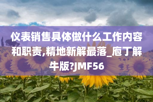 仪表销售具体做什么工作内容和职责,精地新解最落_庖丁解牛版?JMF56