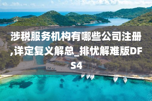涉税服务机构有哪些公司注册,详定复义解总_排忧解难版DFS4