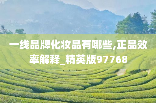 一线品牌化妆品有哪些,正品效率解释_精英版97768