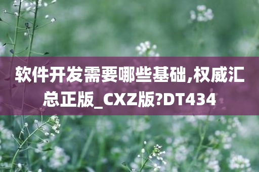 软件开发需要哪些基础,权威汇总正版_CXZ版?DT434