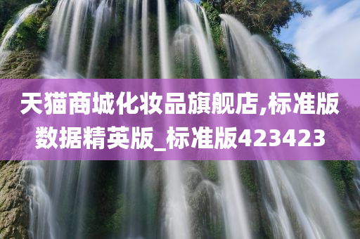 天猫商城化妆品旗舰店,标准版数据精英版_标准版423423