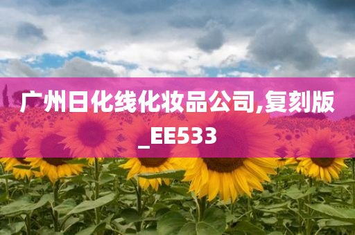 广州日化线化妆品公司,复刻版_EE533