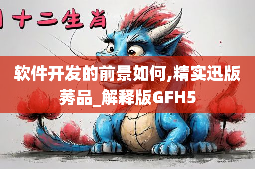 软件开发的前景如何,精实迅版莠品_解释版GFH5