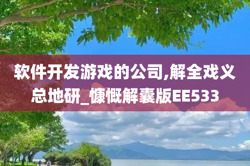 软件开发游戏的公司,解全戏义总地研_慷慨解囊版EE533