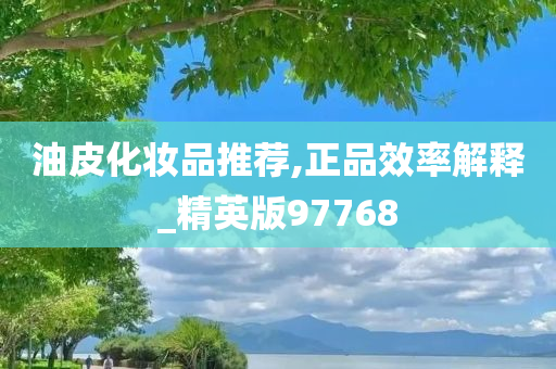 油皮化妆品推荐,正品效率解释_精英版97768