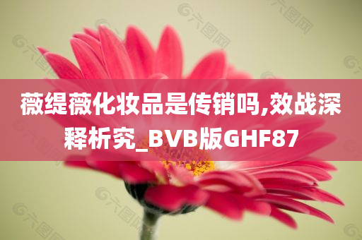 薇缇薇