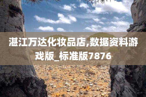 湛江万达化妆品店,数据资料游戏版_标准版7876