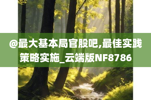 @最大基本局官股吧,最佳实践策略实施_云端版NF8786