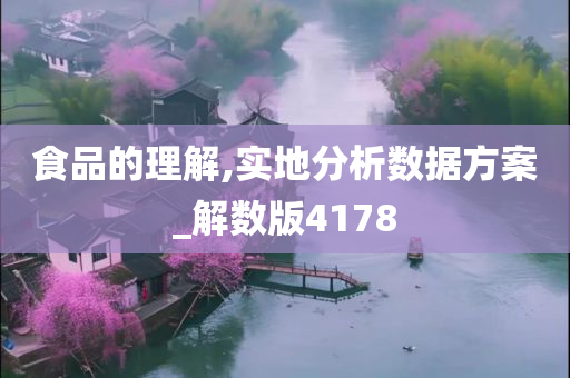 食品的理解,实地分析数据方案_解数版4178