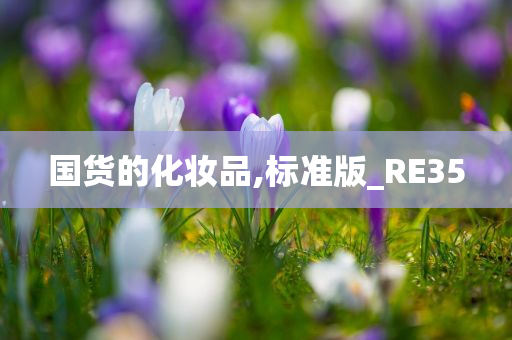 国货的化妆品,标准版_RE35