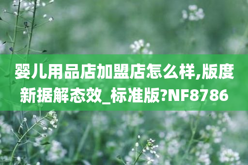 婴儿用品店加盟店怎么样,版度新据解态效_标准版?NF8786
