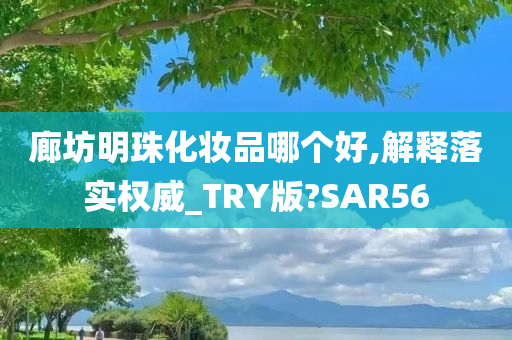廊坊明珠化妆品哪个好,解释落实权威_TRY版?SAR56