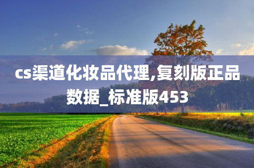 cs渠道化妆品代理,复刻版正品数据_标准版453