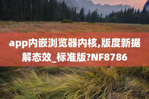 版度新据解态