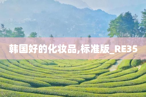 韩国好的化妆品,标准版_RE35