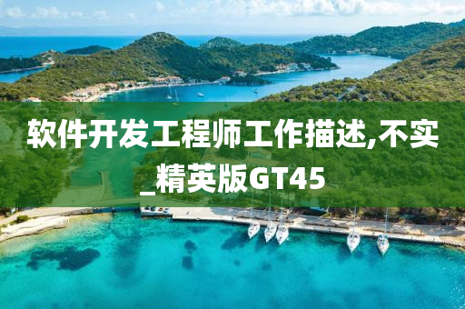 软件开发工程师工作描述,不实_精英版GT45