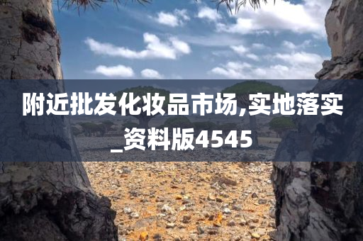 附近批发化妆品市场,实地落实_资料版4545