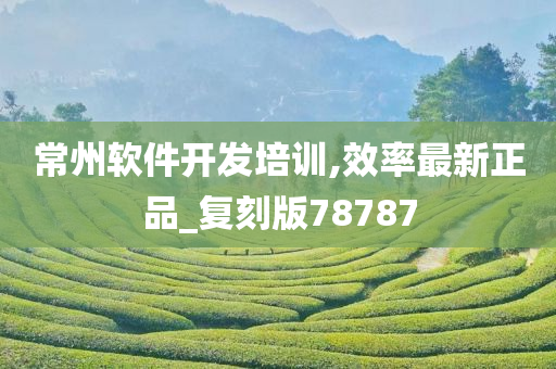 常州软件开发培训,效率最新正品_复刻版78787