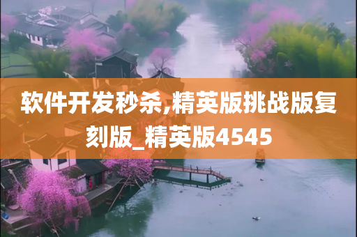软件开发秒杀,精英版挑战版复刻版_精英版4545