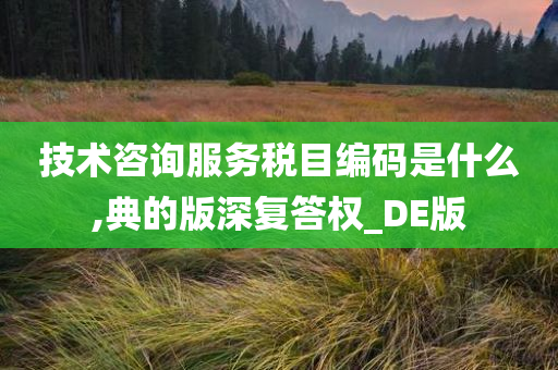 技术咨询服务税目编码是什么,典的版深复答权_DE版