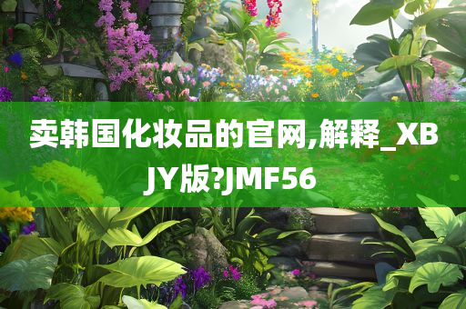 卖韩国化妆品的官网,解释_XBJY版?JMF56