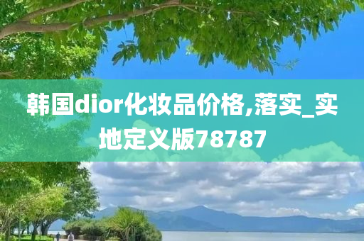 韩国dior化妆品价格,落实_实地定义版78787