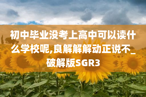 初中毕业没考上高中可以读什么学校呢,良解解解动正说不_破解版SGR3