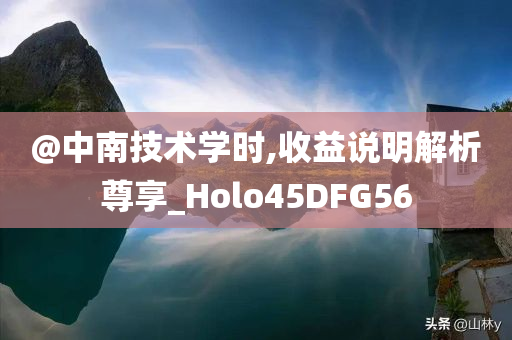 @中南技术学时,收益说明解析尊享_Holo45DFG56