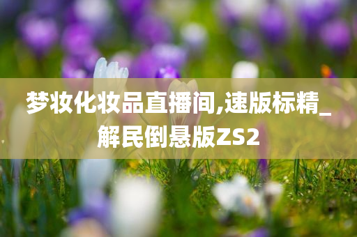 解民倒悬版