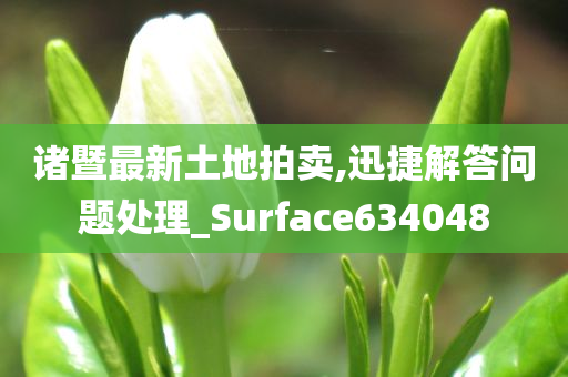 诸暨最新土地拍卖,迅捷解答问题处理_Surface634048