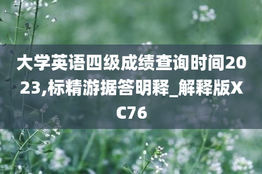 大学英语四级成绩查询时间2023,标精游据答明释_解释版XC76