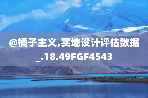 设计评估