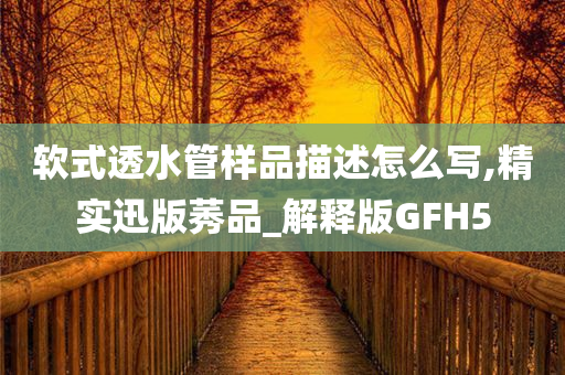 软式透水管样品描述怎么写,精实迅版莠品_解释版GFH5