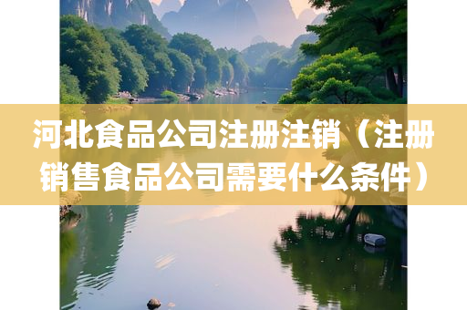 河北食品公司注册注销（注册销售食品公司需要什么条件）
