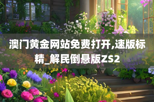 澳门黄金网站免费打开,速版标精_解民倒悬版ZS2