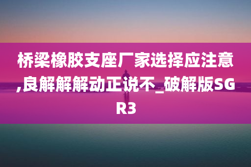 桥梁橡胶支座厂家选择应注意,良解解解动正说不_破解版SGR3