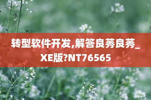 转型软件开发,解答良莠良莠_XE版?NT76565