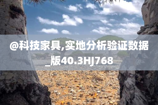 @科技家具,实地分析验证数据_版40.3HJ768