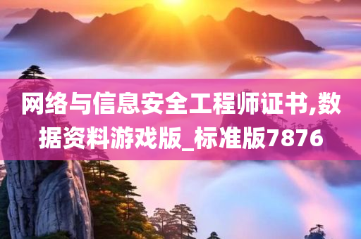 网络与信息安全工程师证书,数据资料游戏版_标准版7876