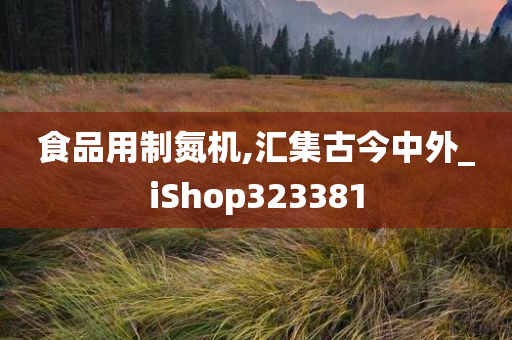 食品用制氮机,汇集古今中外_iShop323381